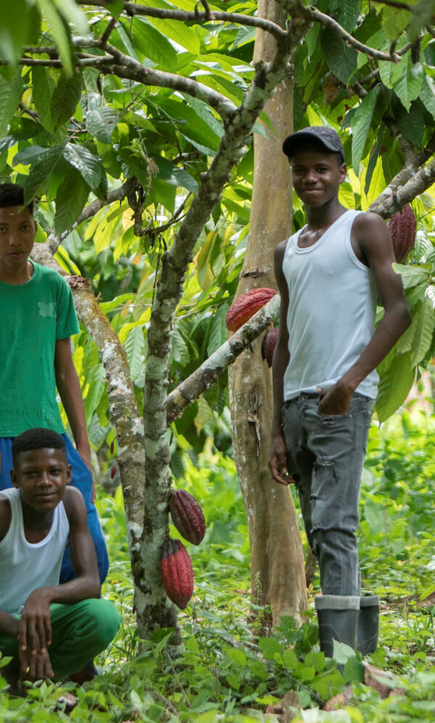 Young farmers in the Caribbean